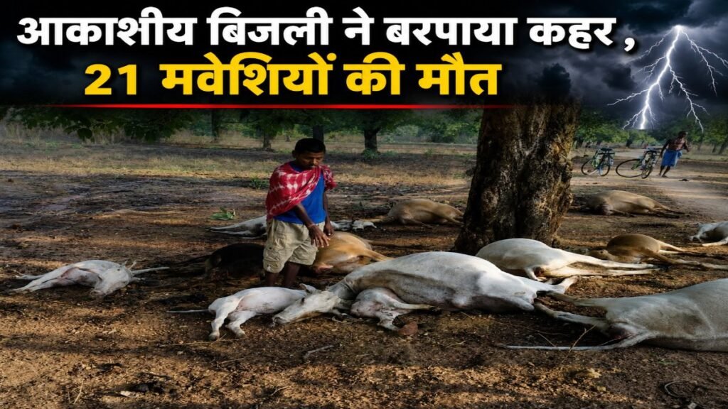 Chhattisgarh News : बेजुबानों पर गिरी गाज , बिजली की चपेट में आने से 21 मवेशियों की मौत Chhattisgarh News