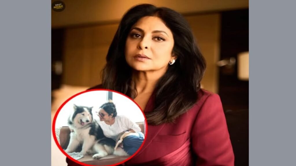 Shefali Shah’ का बयान वायरल ‘बच्चों की जगह कुत्ते पाल लो’, शादी-मां बनने के दबाव पर खुलकर बोलीं