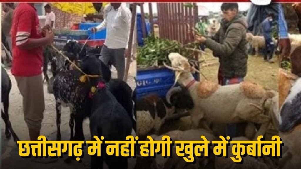 CG NEWS : बकरीद पर नई गाइडलाइन जारी, खुले में कुर्बानी पर प्रतिबंध